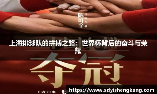 上海排球队的拼搏之路：世界杯背后的奋斗与荣耀